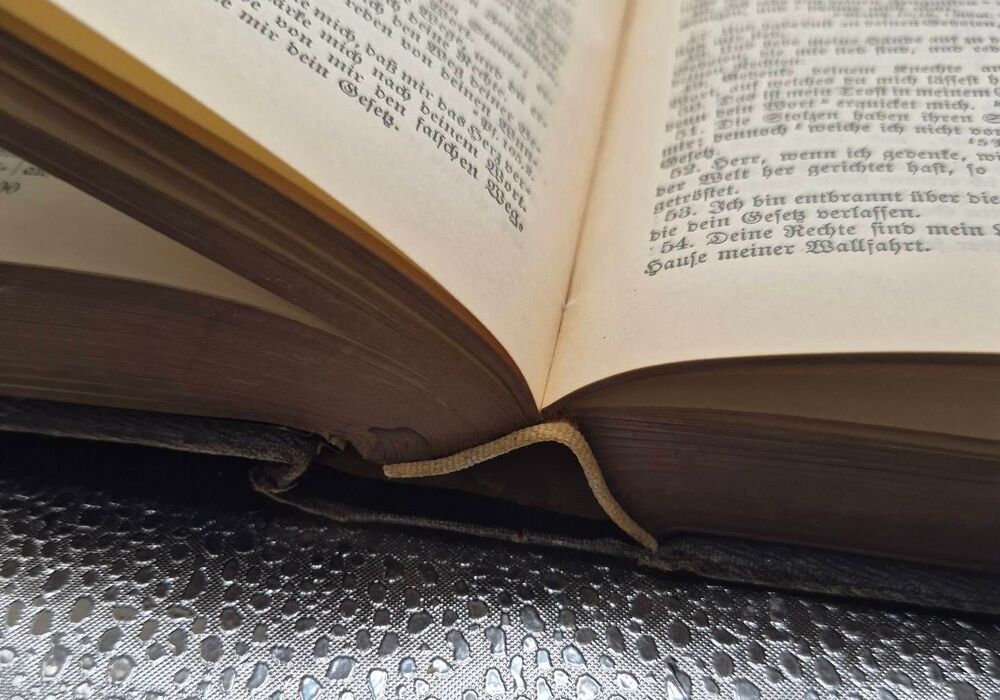 The Holy Scripture (German Bible - Picture 11 of 13